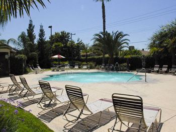 Beautiful swimming pool and spa